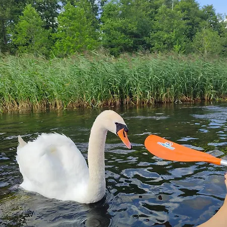 Na Wzgorzu *